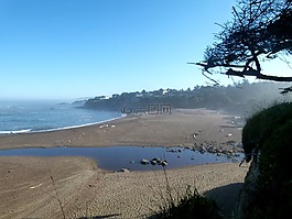 纽波特,海岸,海岸线