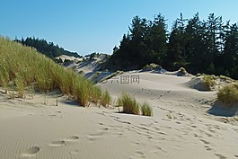 沙丘,沙丘国家公园,俄勒冈
