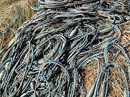 捕魚,網(wǎng)絡,海