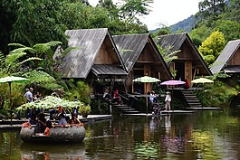 池,旅行,竹