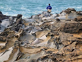海绵体风化,岩,bean 空心海滩
