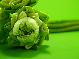 白,花,莲花