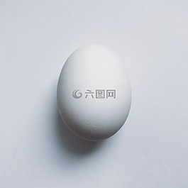 雞蛋,食品,蛋白