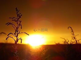 夏季,日落,性質(zhì)