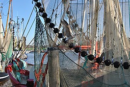 漁船,網(wǎng)絡(luò),海鷗