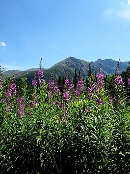 冬奧會,波蘭,山