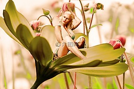 女子,花,性質(zhì)