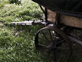 車皮,木,遺產