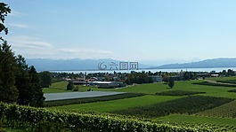 博登湖,性質(zhì),景觀