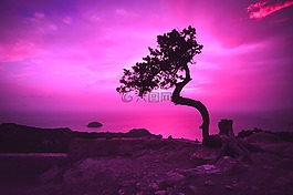 日落,黃昏,晚上