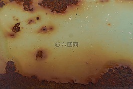 不銹鋼,金屬,張愛玲