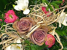 玫瑰,束玫瑰,花束