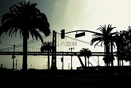 橋,側(cè)影,棕櫚樹