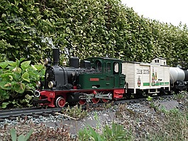 花园铁路,蒸汽机车,spreewald