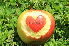 水果,蘋果,心臟