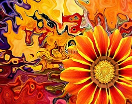 開花,花,太陽