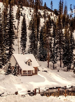 科羅拉多州,冬天,雪