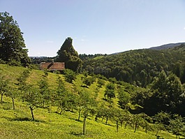 草地,小山,奧地利