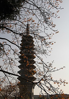 南普陀寺,小清新,秋