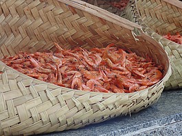 蝦,典型的食物,巴西
