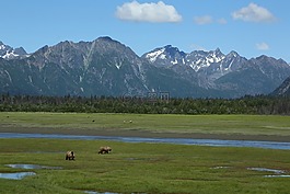 景觀,景區(qū),自然
