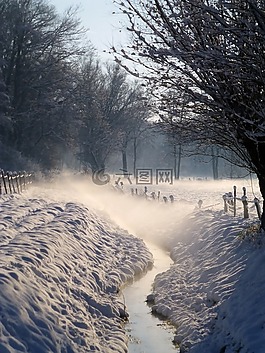 寒冬,雪,白