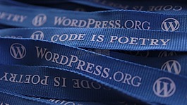 wordpress,吊带,博客