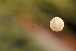 月亮,滿(mǎn)月,夜