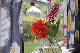 花束,鮮花,花卉