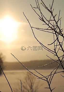 阳光,雪,闪亮