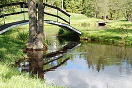 花園,布魯克,橋