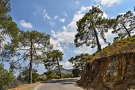 路,樹,天空
