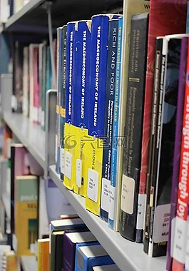 書籍,庫,圖書館的書