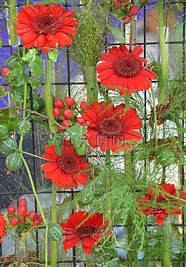 安排,鮮花,紅色