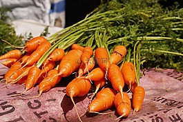 蔬菜,胡蘿卜,戶外