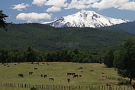 智利,南,火山
