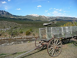 車皮,老,木