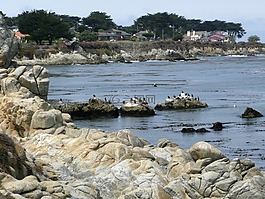 海岸線,加利福尼亞州,美國