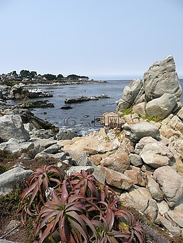 海岸線,海岸,加利福尼亞州