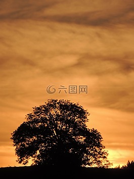 日落,太阳,mardore