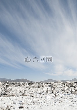 自然,冬天,雪