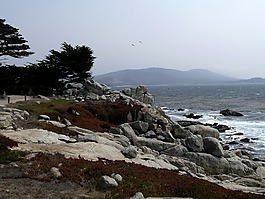 加利福尼亞州,美國,海岸