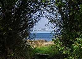 查看,布什,海