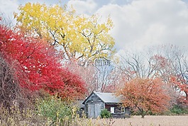 谷倉,秋天,秋