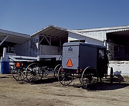 越野車,馬,農(nóng)場(chǎng)