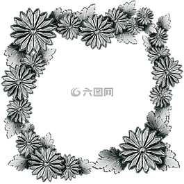 銀,框架,菊花