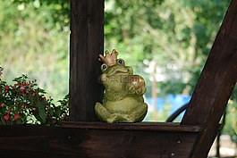 木,青蛙,大自然的樂趣