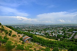 城市,綠色,樹