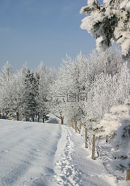 雪,冬天,弗羅斯特