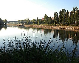 河,水,草